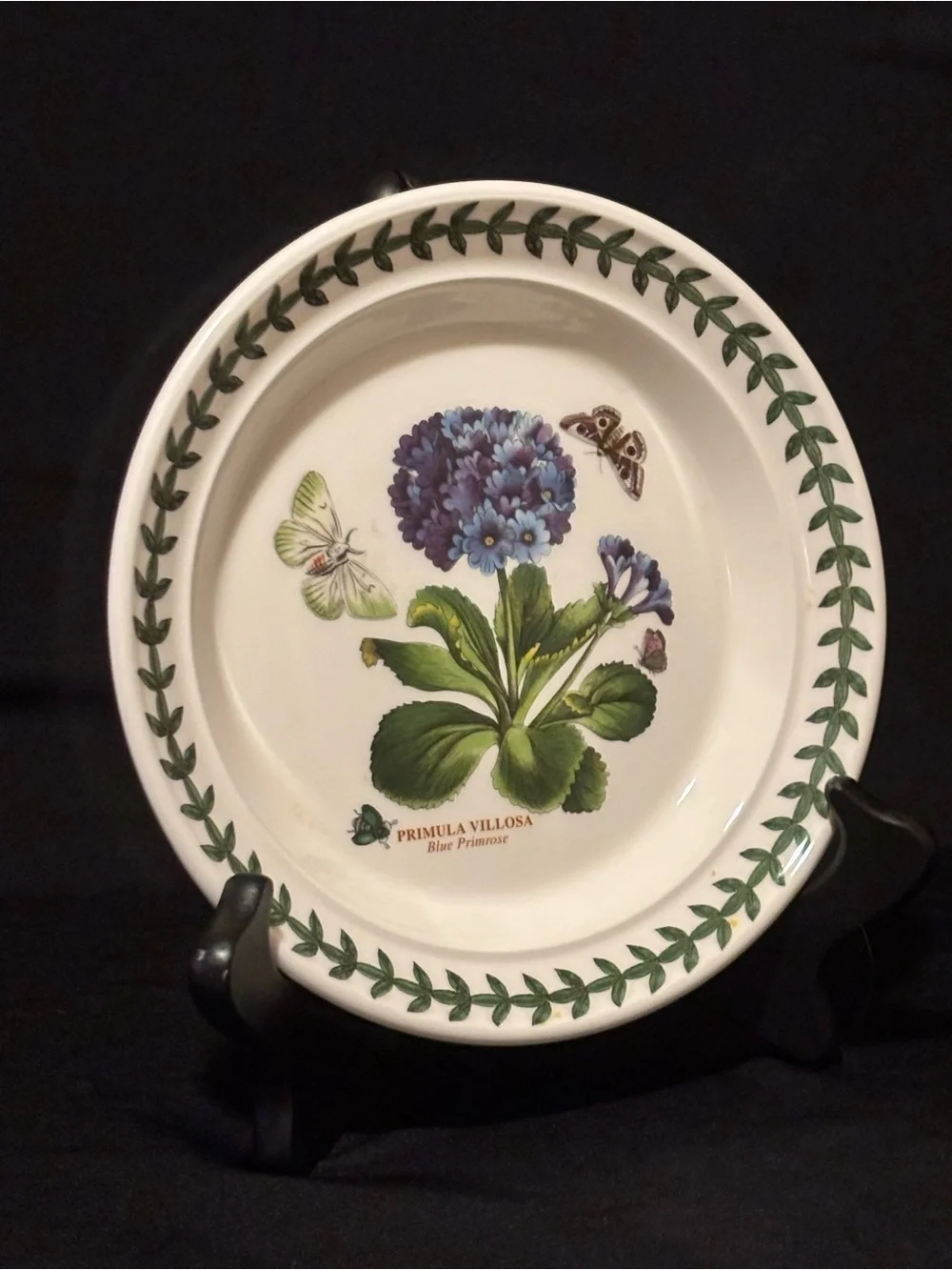 Portmeirion Botanic Garden Primula Villosa 7” Side Plate